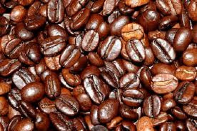 ESTUDIO CAFE estudio cafe: