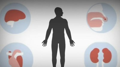 No son solo los pulmones: COVID-19 afectaría a otros órganos del cuerpo