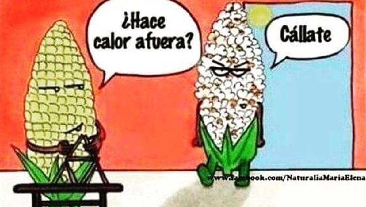 Los memes más divertidos ante la ola de calor – Telemundo Las Vegas