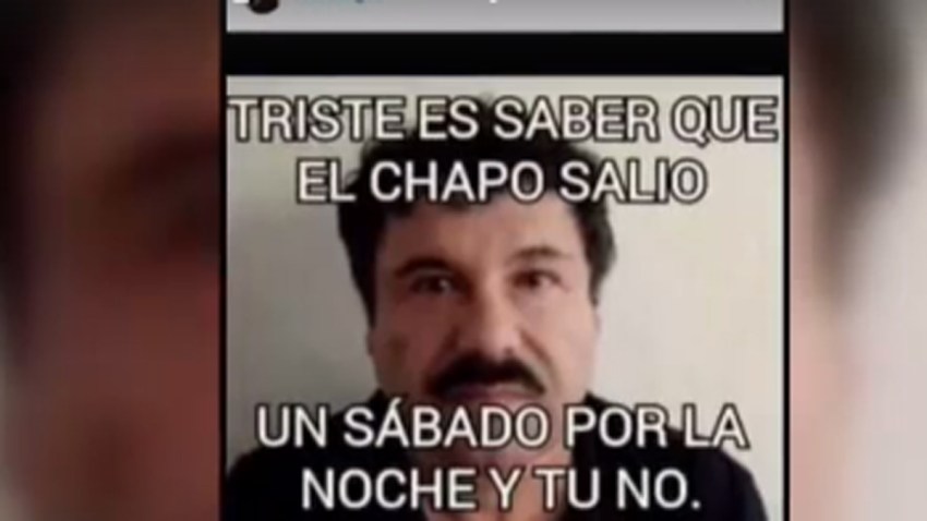 chapo-memes-5