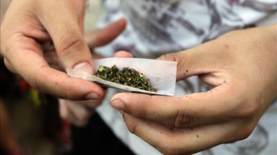 ¿Marihuana adulterada?: Alertan a jóvenes sobre peligros de compra ilegal de drogas