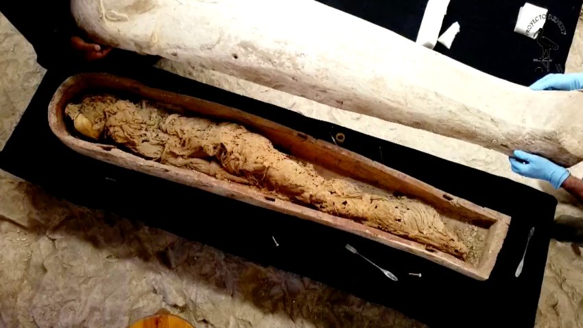 El Proyecto Djehuty halla el ataúd y la momia de una joven que vivió hace 3,600 años