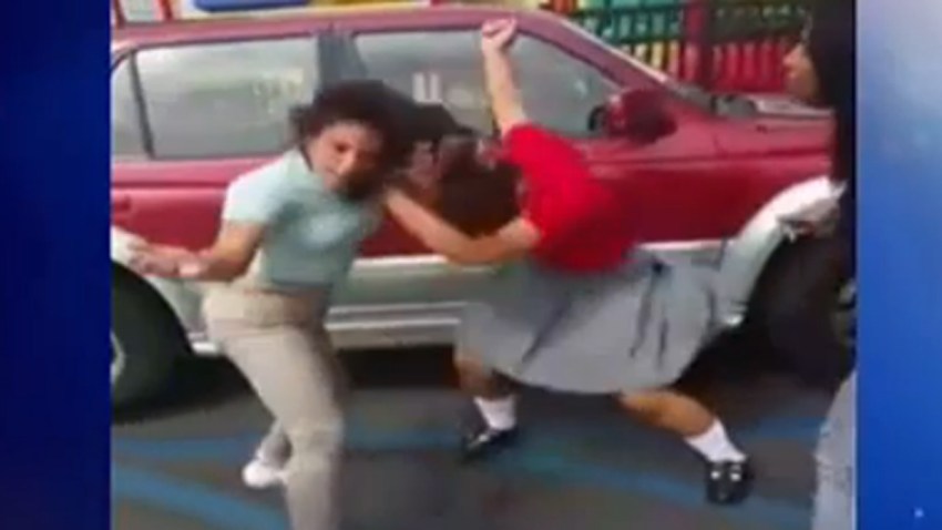 pelea-puerto-rico