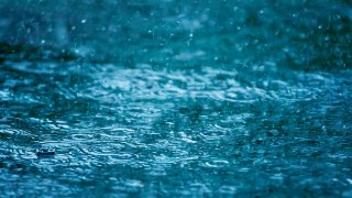 Generic photo of raindrops on the ground.