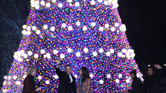 tlmd_arbol_obama