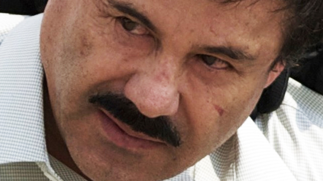 tlmd_chapo_guzman_captura
