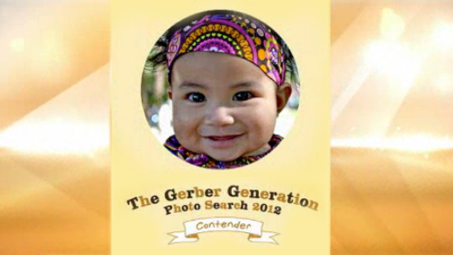 tlmd_new_gerberbabytoday