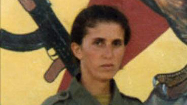 tlmd_pkk