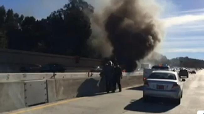 tlmd_rescate_llamas_california