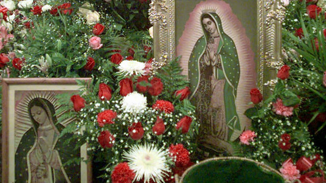 tlmd_virgen_guadalupe