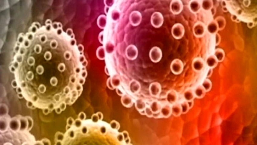 zika-virus-color1