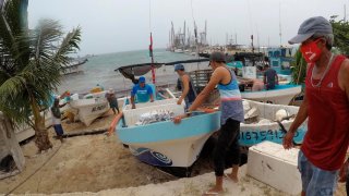 Pescadores en Quintana Roo aseguran sus embarcaciones
