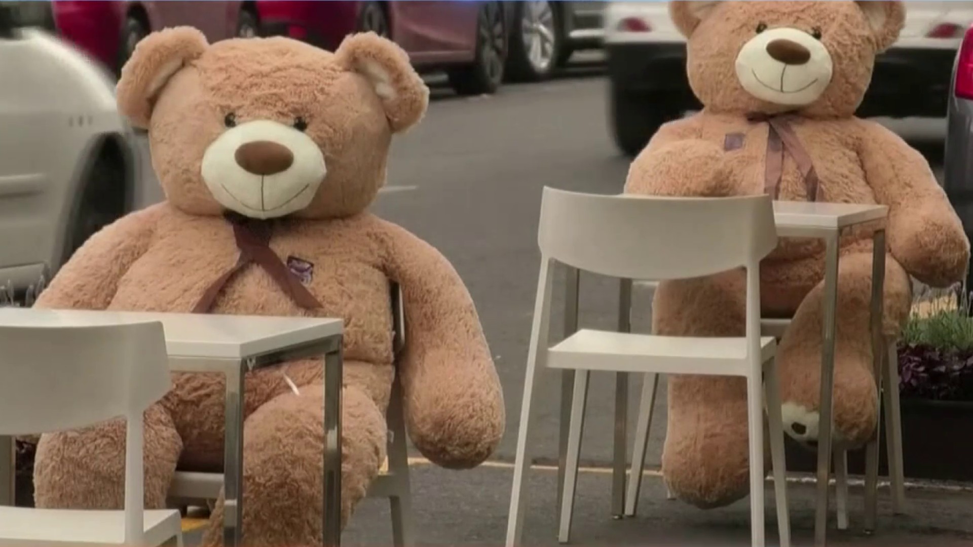 oso gigante de peluche walmart