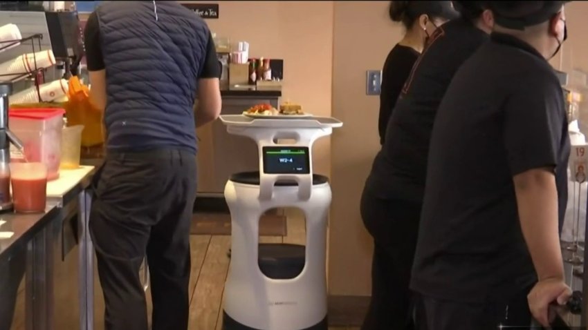 Robots al servicio de los humanos