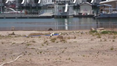 “Agua de cadáveres del lago Mead”: el nuevo producto a la venta en Las Vegas