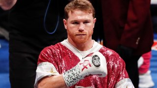 Foto de Saúl "Canelo" Álvarez