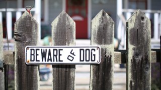 Los oficiales localizaron al perro en una residencia cercana. Lo tomaron en custodia sin incidentes y lo entregaron a control de animales. (Foto de archivo)