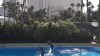 Tres delfines mueren en el hotel The Mirage