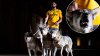 En imágenes: un club presenta a su nuevo jugador junto a una jauría de lobos