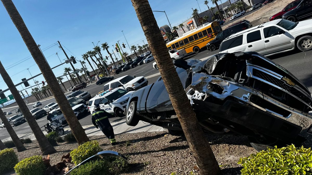 Driver arrested for ramming truck into palm tree north of Las Vegas