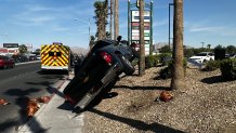 Driver arrested for ramming truck into palm tree north of Las Vegas 2 NLVPD DUI TRUCK VS TREE CHEYENNE CIVIC CENTER 3