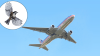 Pájaro choca con turbina de avión de American Airlines y provoca su regreso al aeropuerto