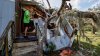 Biden viajará el sábado a Florida para evaluar daños causados por huracán Idalia