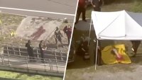 Atrapan a caimán con restos de una mujer en la boca: qué se sabe del horrendo caso en Florida