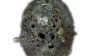 Uno de los más raros del mundo: descubren un micrometeorito con cuasicristales en Italia