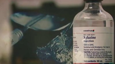 Tres muertes por sobredosis vinculadas a la Xilacina
