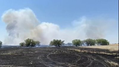 Insólito: pájaro choca contra tendido eléctrico y sus plumas propagan incendio de maleza