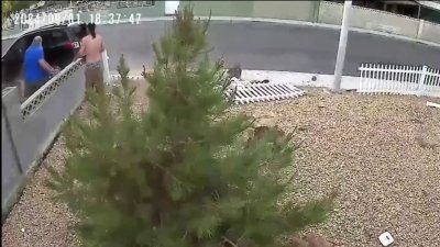 Escalofriante llamada al 911 de un incidente mortal