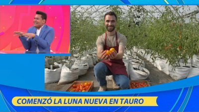 La luna nueva en Tauro trae cambios y El Niño Prodigio nos los explica