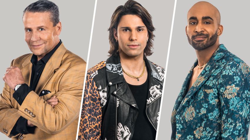 La Casa de los Famosos All-Stars