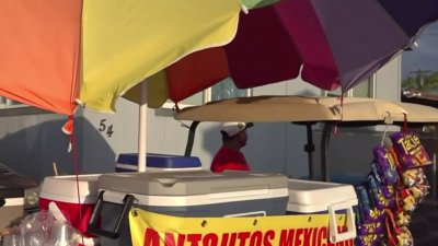 Aprueban licencia multizona para vendedores ambulantes