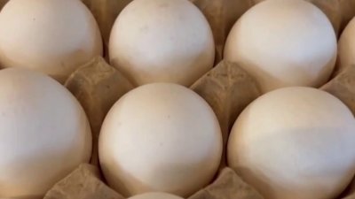 A partir del 20 de junio sólo se venderán huevos de gallinas no enjauladas