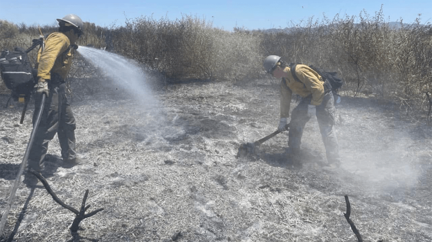 Bomberos del Condado Clark sofocan las llamas en Wetlands Park