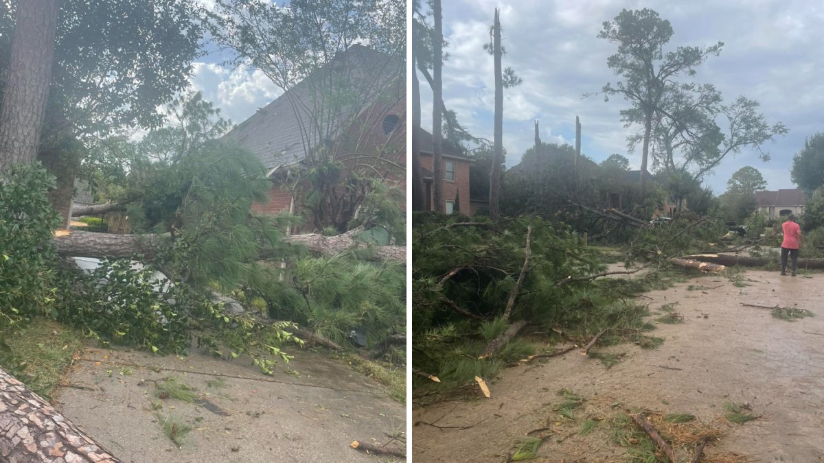 Al menos un tornado tocó tierra en el sureste de EEUU: más de 100 casas dañadas