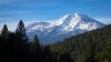 Acusan a padre e hijo de secuestrar a dos biólogos en bosque del norte de California