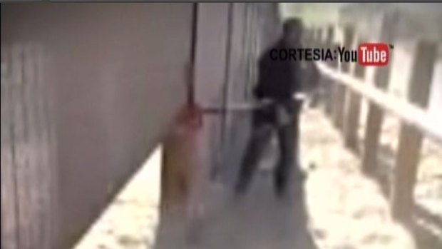 Video: Contrabandistas presumen en redes sociales