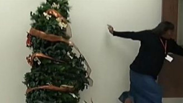 Video: Mira por qué huye aterrorizada del árbol