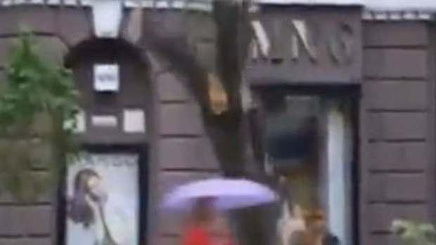 Video: Mujer casi muere aplastada por árbol