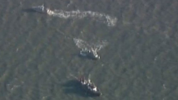 Video: Localizan avión en Bahía de San Pablo