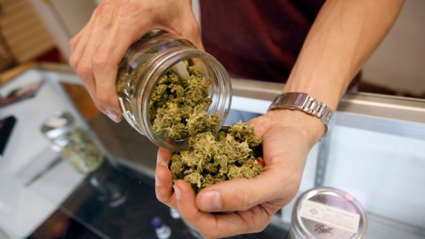 Video: Tiendas en Washington ofrecen cannabis