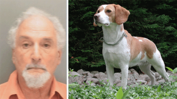 Video: Se suicida tras matar su perro