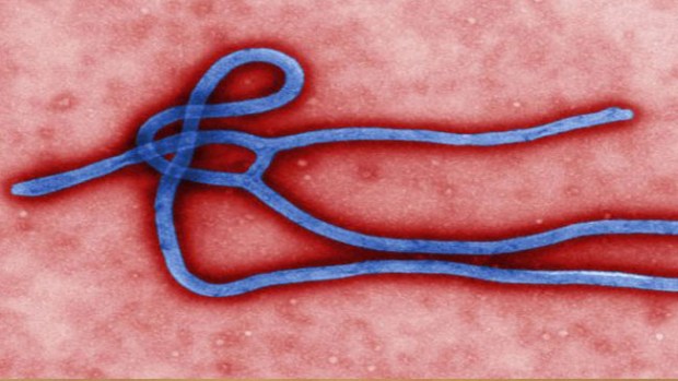 Video: Ébola: emergencia mundial sanitaria