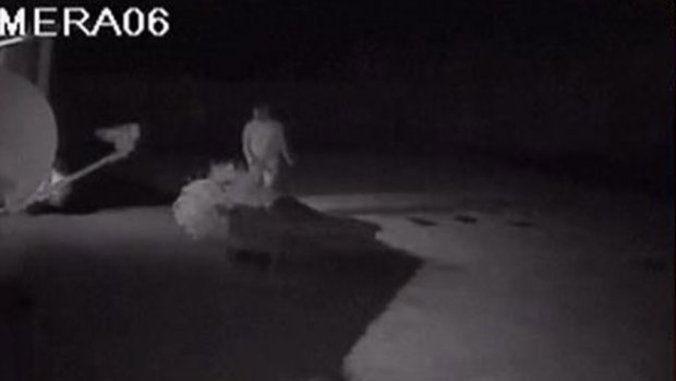 Video: Esta ladrona no puede ser más torpe