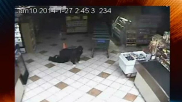Video: Roban carnicería gateando