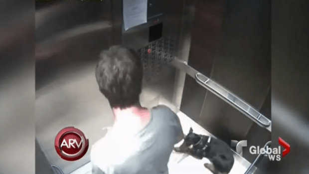 Video: Lo más rojo de "Al Rojo Vivo"