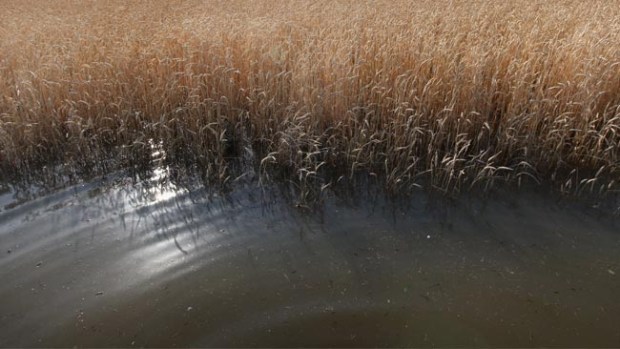 Video: Hallan cadáver de niño autista en un río
